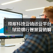 领雁科技营销运营平台:赋能银行智慧营销解决方案,开启精准运营新篇章(图4) 领雁科技营销运营平台:赋能银行智慧营销解决方案,开启精准运营新篇章(图4)