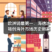 欧洲销量第一,海信冰箱创海外市场历史新高(图4) 欧洲销量第一,海信冰箱创海外市场历史新高(图4)