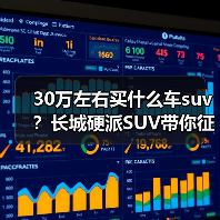 30万左右买什么车suv?长城硬派SUV带你征服全地形(图3) 30万左右买什么车suv?长城硬派SUV带你征服全地形(图3)