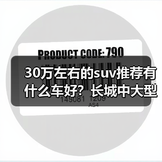 30万左右的suv推荐有什么车好?长城中大型SUV引领潮流(图4) 30万左右的suv推荐有什么车好?长城中大型SUV引领潮流(图4)