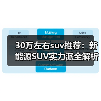 30万左右suv推荐:新能源SUV实力派全解析(图4) 30万左右suv推荐:新能源SUV实力派全解析(图4)