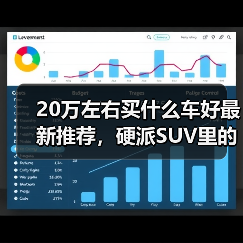 20万左右买什么车好最新推荐,硬派SUV里的实力派(图4) 20万左右买什么车好最新推荐,硬派SUV里的实力派(图4)