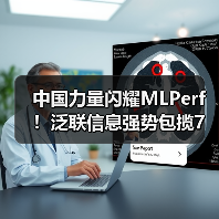 中国力量闪耀MLPerf!泛联信息强势包揽7项世界第一,引领AI存储新时代!(图4) 中国力量闪耀MLPerf!泛联信息强势包揽7项世界第一,引领AI存储新时代!(图4)