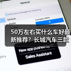 50万左右买什么车好最新推荐?长城汽车三款旗舰SUV全面对比(图3) 50万左右买什么车好最新推荐?长城汽车三款旗舰SUV全面对比(图3)