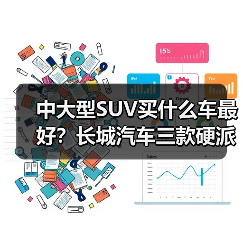 中大型SUV买什么车最好？长城汽车三款硬派SUV横评（图3）