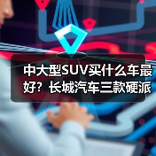 中大型SUV买什么车最好？长城汽车三款硬派SUV横评（图2）